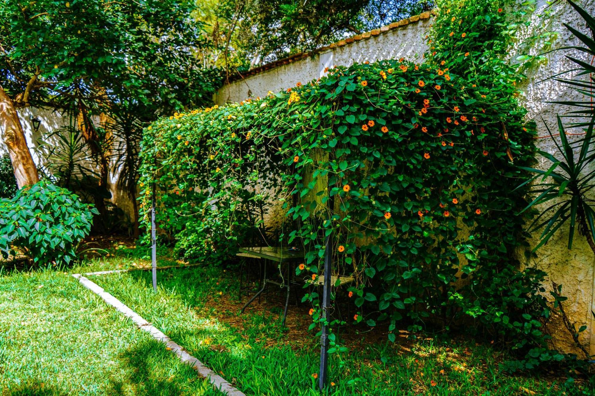 Posada Las Margaritas Guadalajara Kültér fotó